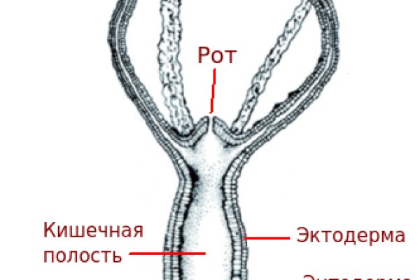 Кракен даркнет сайт