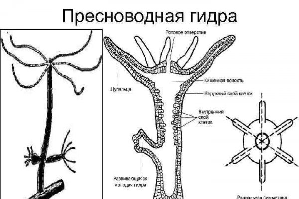 Кракен переходник ссылка